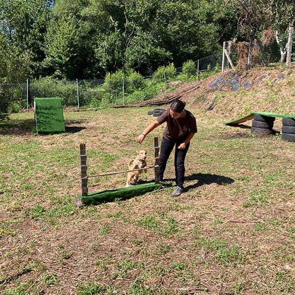 residencia canina alcanza