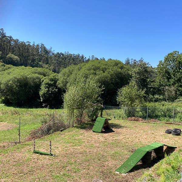 residencia canina alcanza