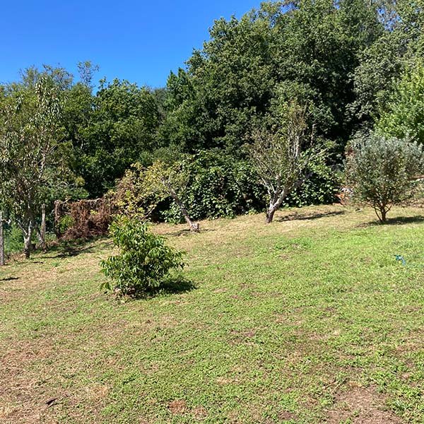 residencia canina alcanza