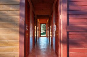 residencia canina campamento peludosos