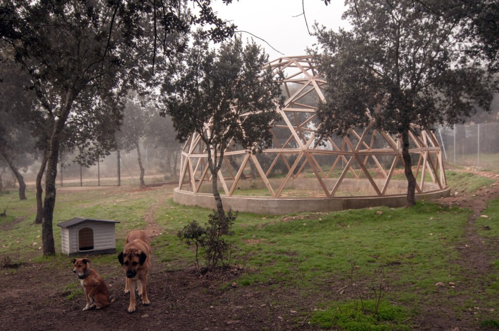 residencia canina campamento peludosos