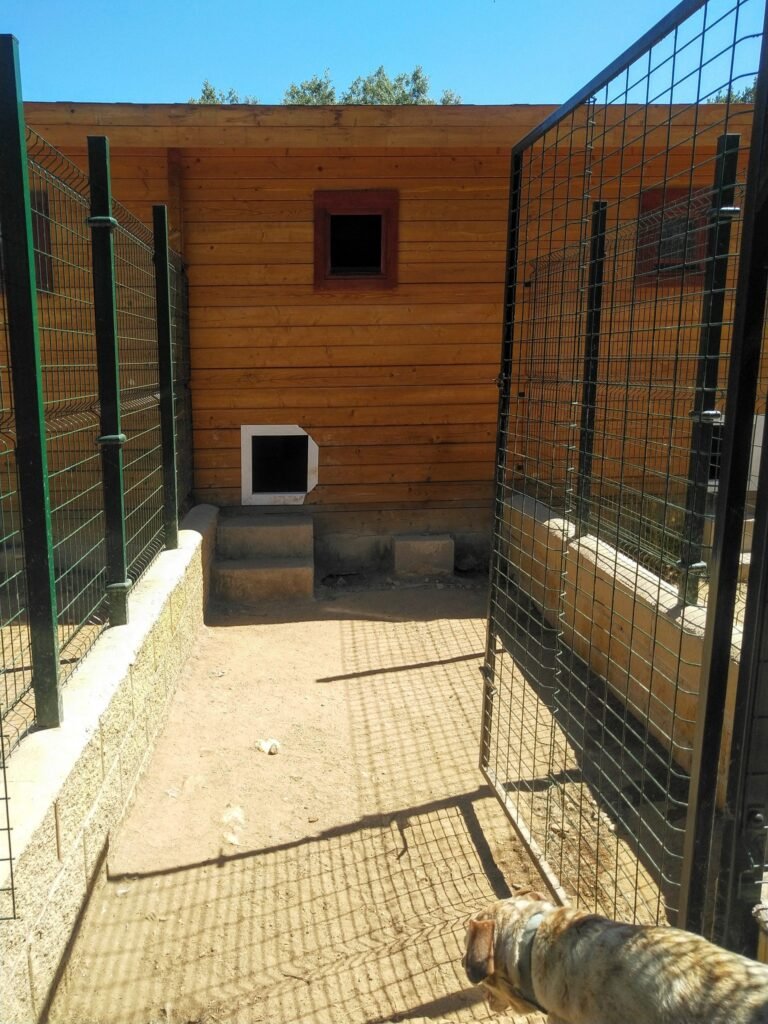 residencia canina campamento peludosos