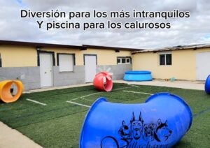 Residencia canina villacharra