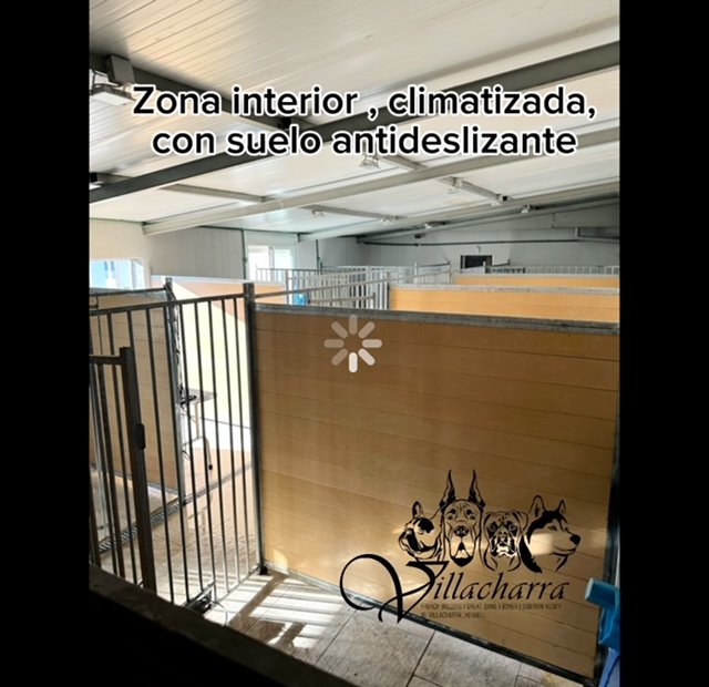 Residencia canina villacharra