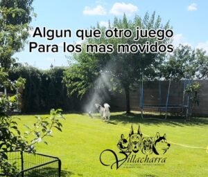 Residencia canina villacharra