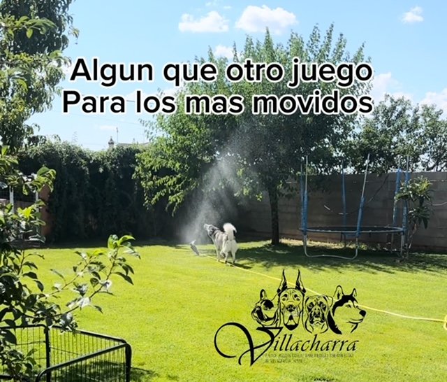 Residencia canina villacharra