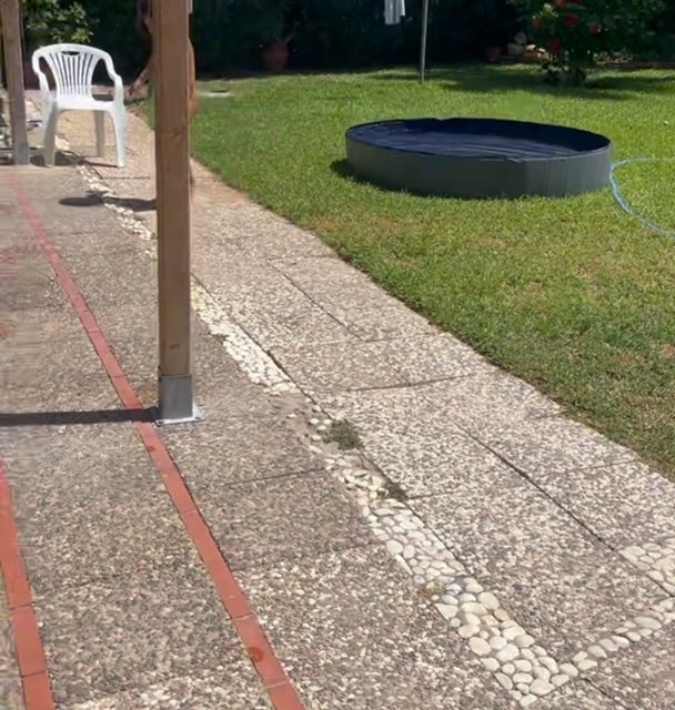Residencia canina villacharra