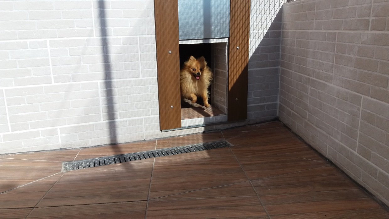 hotel canino proanican