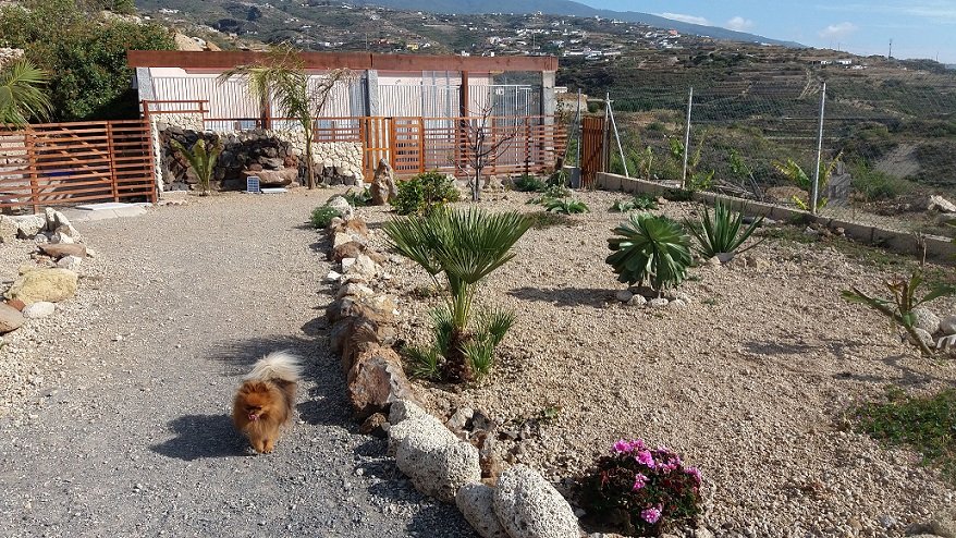 hotel canino proanican