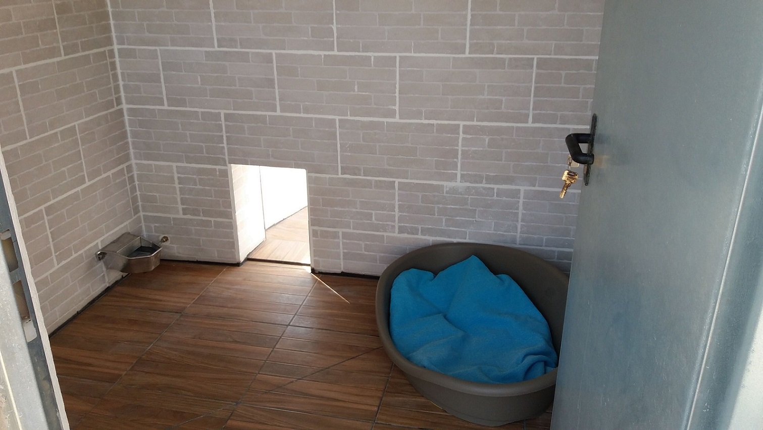 hotel canino proanican