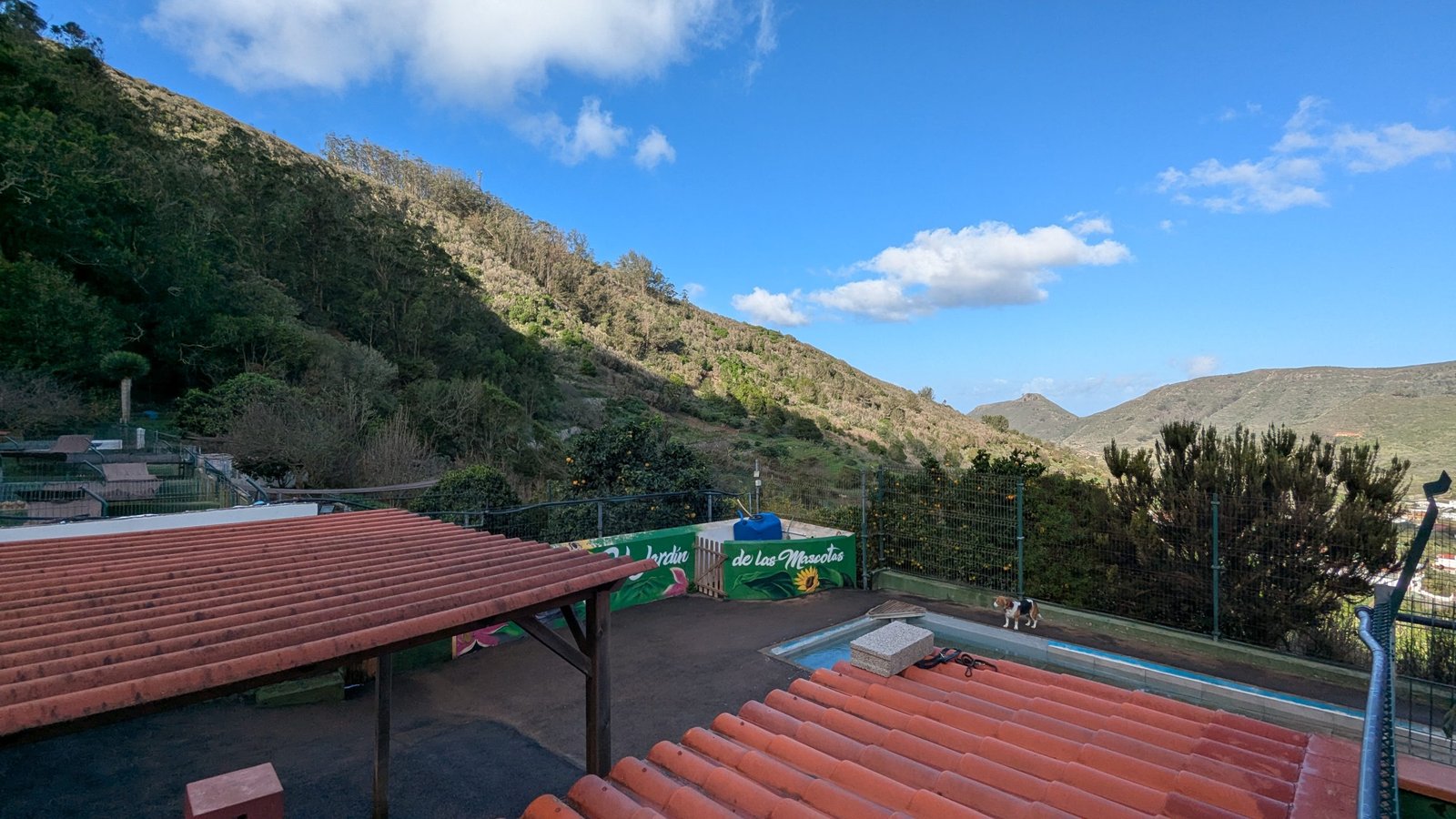 residencia canina el jardín de las mascotas