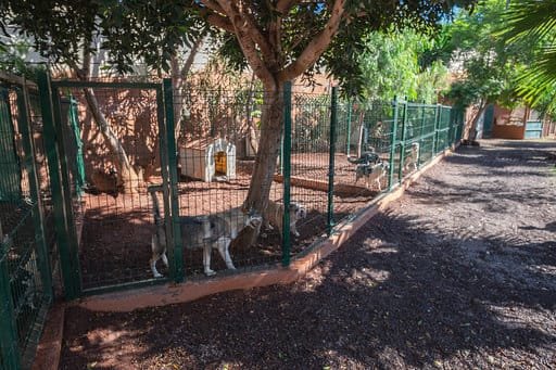 hotel canino don perro