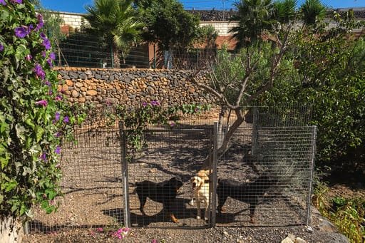 hotel canino don perro