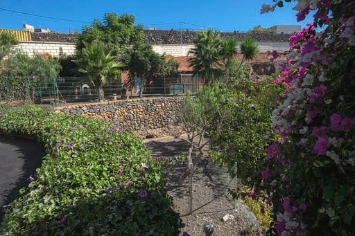 hotel canino don perro