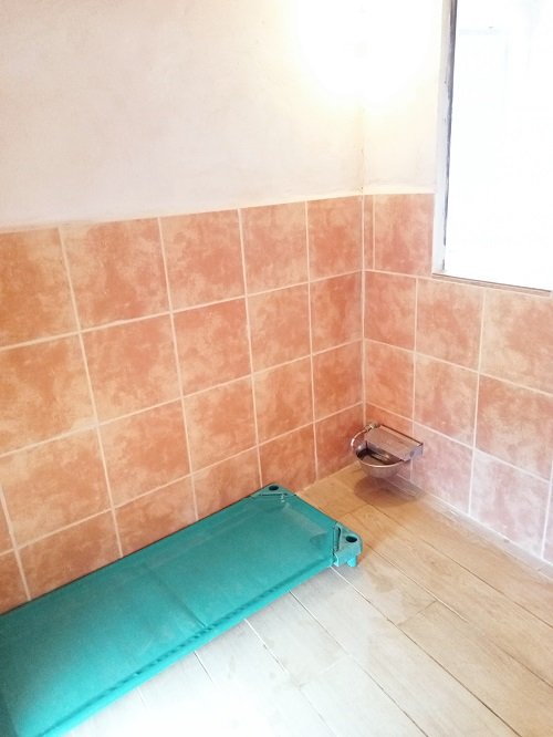 hotel canino proanican