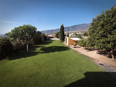 centro canino golden house