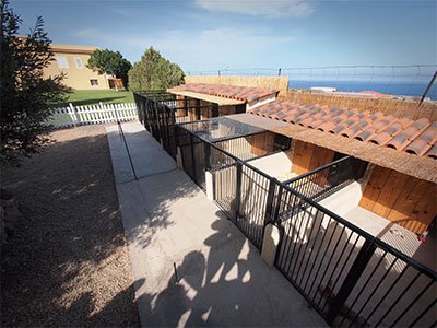 centro canino golden house