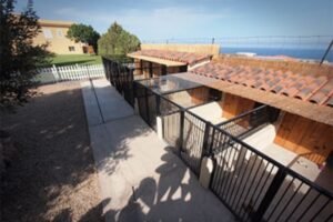 centro canino golden house