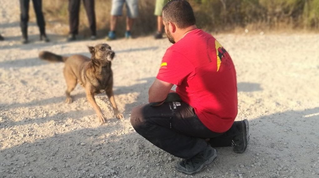 centro canino la trailla