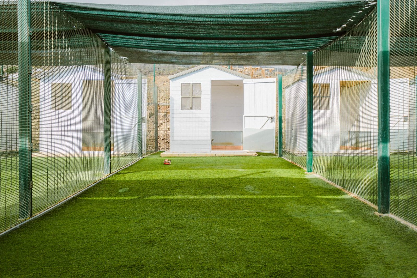 residencia canina koala pets home