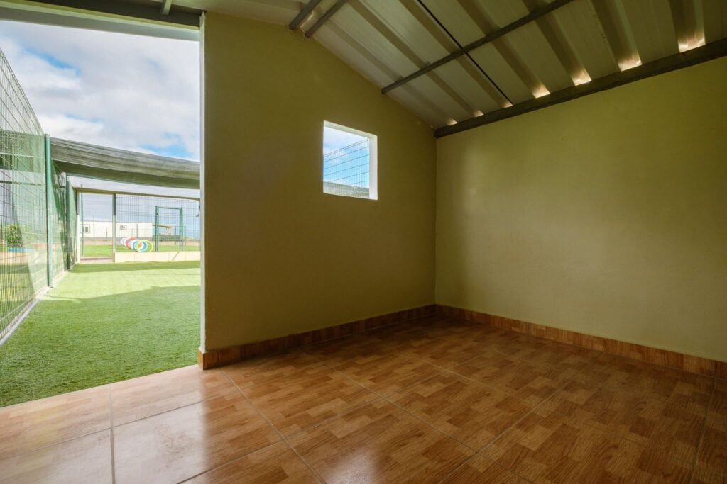residencia canina koala pets home