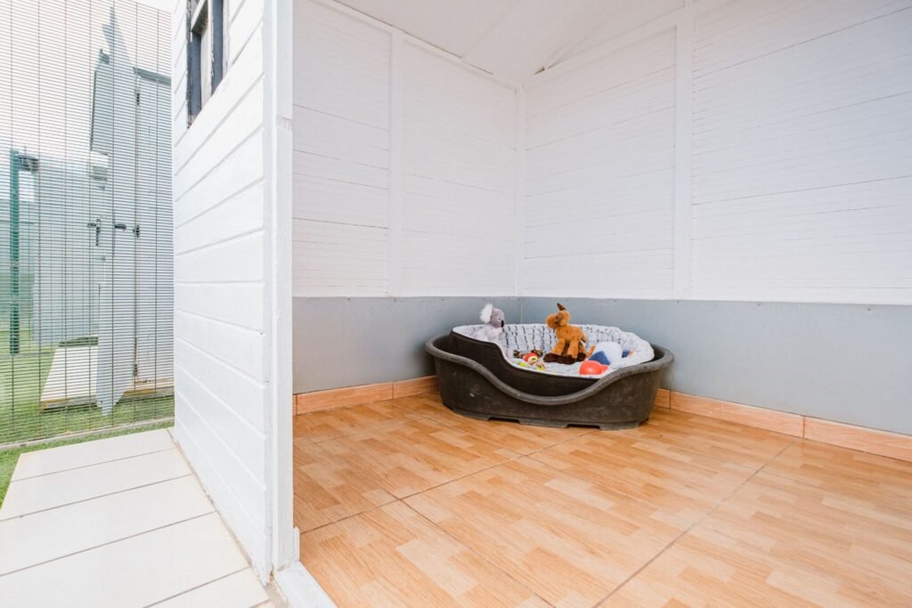 residencia canina koala pets home
