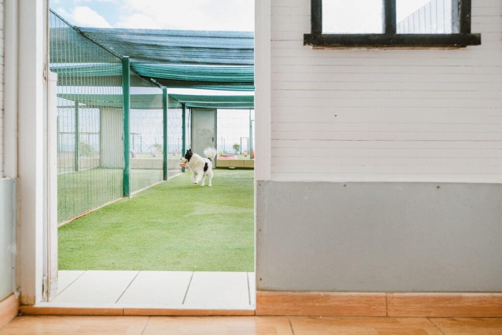 residencia canina koala pets home