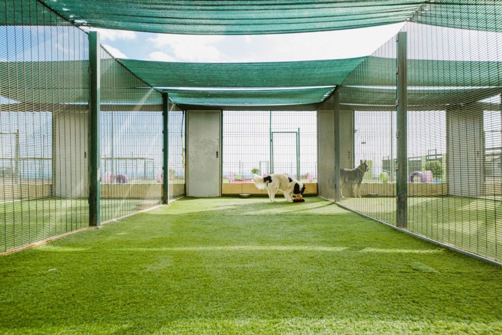 residencia canina koala pets home