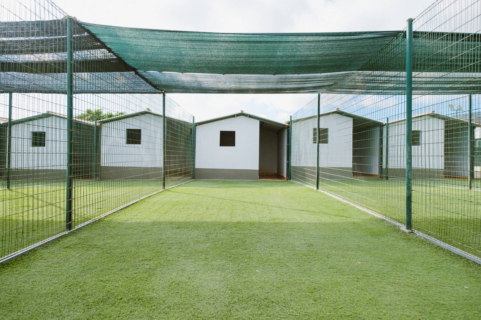 residencia canina koala pets home