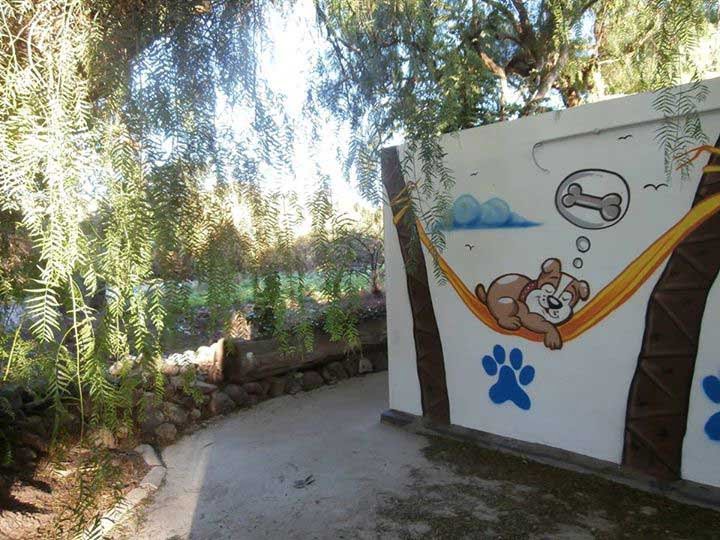 residencia canina marina dog
