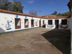 marina dog tenerife instalaciones galeria 11