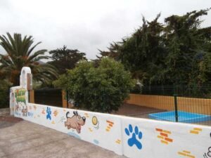 marina dog tenerife instalaciones galeria 13