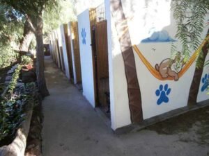 marina dog tenerife instalaciones galeria 2