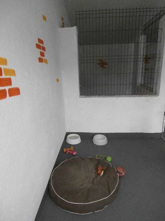 residencia canina marina dog