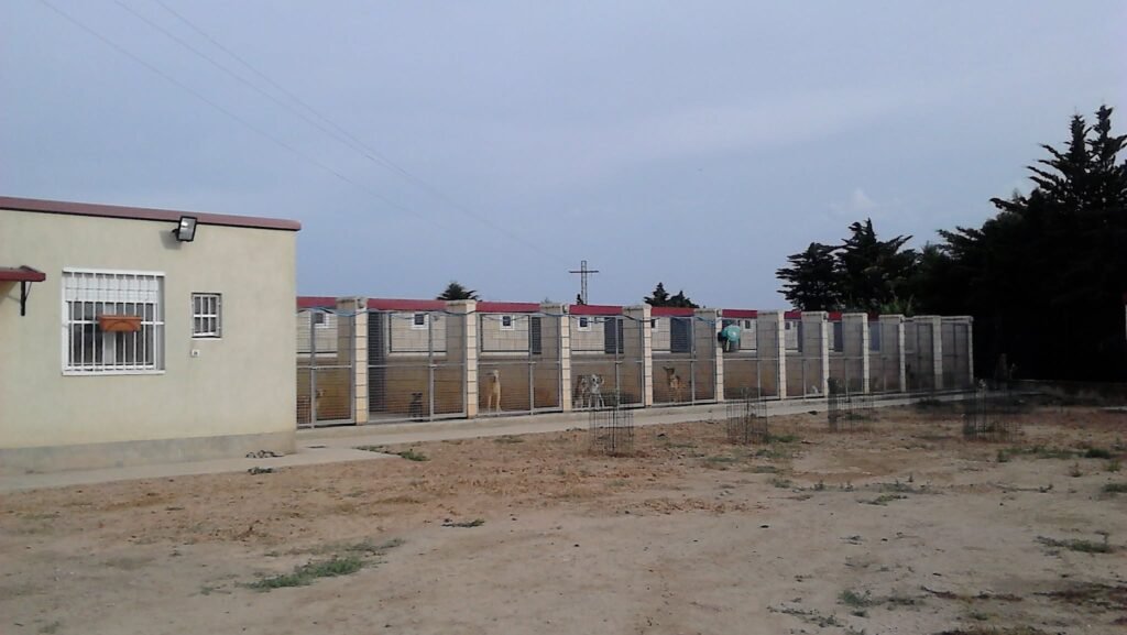 Residencia Canina Ribera de Alhama – residencia canina en Navarra