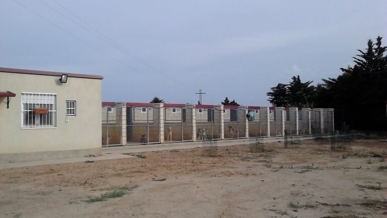 Residencia Canina Ribera de Alhama – residencia canina en Navarra