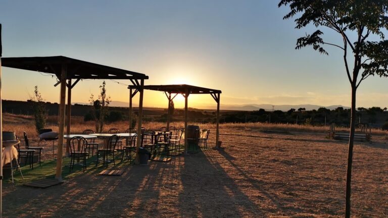 Residencia Canina Alanos de Toletum – residencia canina en Toledo