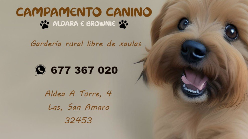Campamento Canino Aldara e Brownie – residencia canina en Ourense