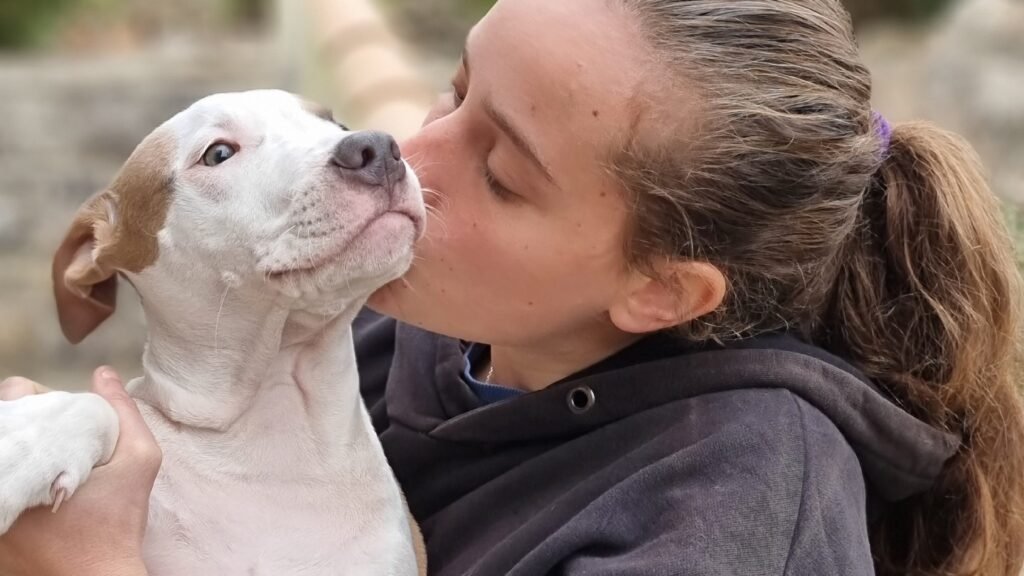 Cuidador de Mascotas Alify – residencia canina en Baleares