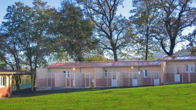 Residencia Canina Amican – residencia canina en Asturias