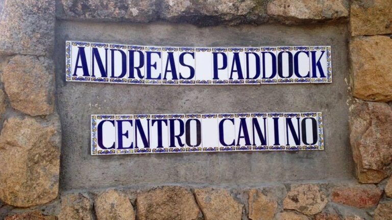 Residencia Canina Andreas Paddock – residencia canina en Madrid