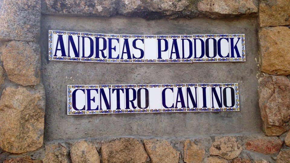 Residencia Canina Andreas Paddock – residencia canina en Madrid
