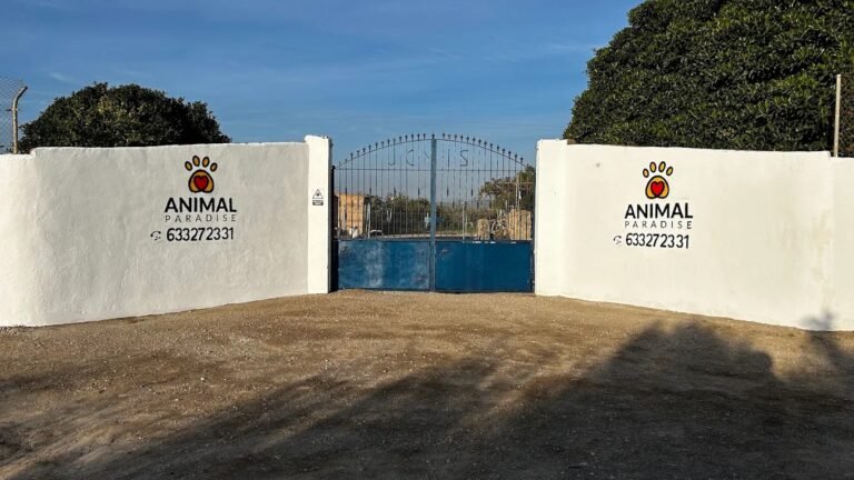 animal paradise resort