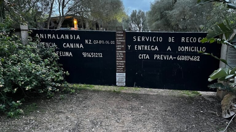 animalandia
