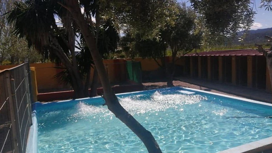 Argos Centro Canino – residencia canina en Castellón