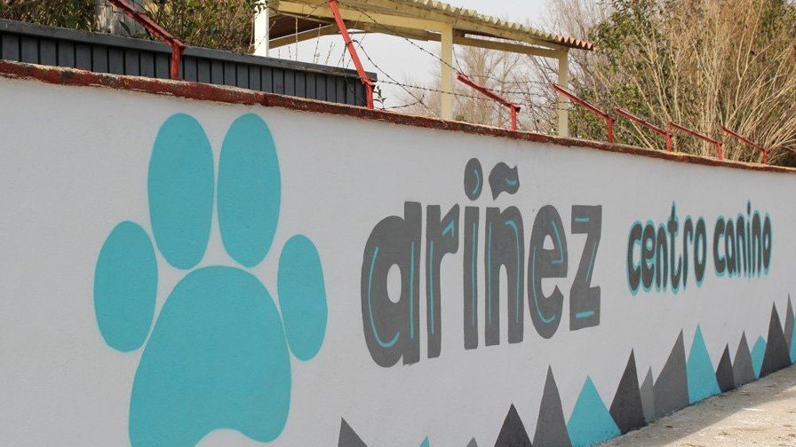 Centro Canino Ariñez – residencia canina en Álava
