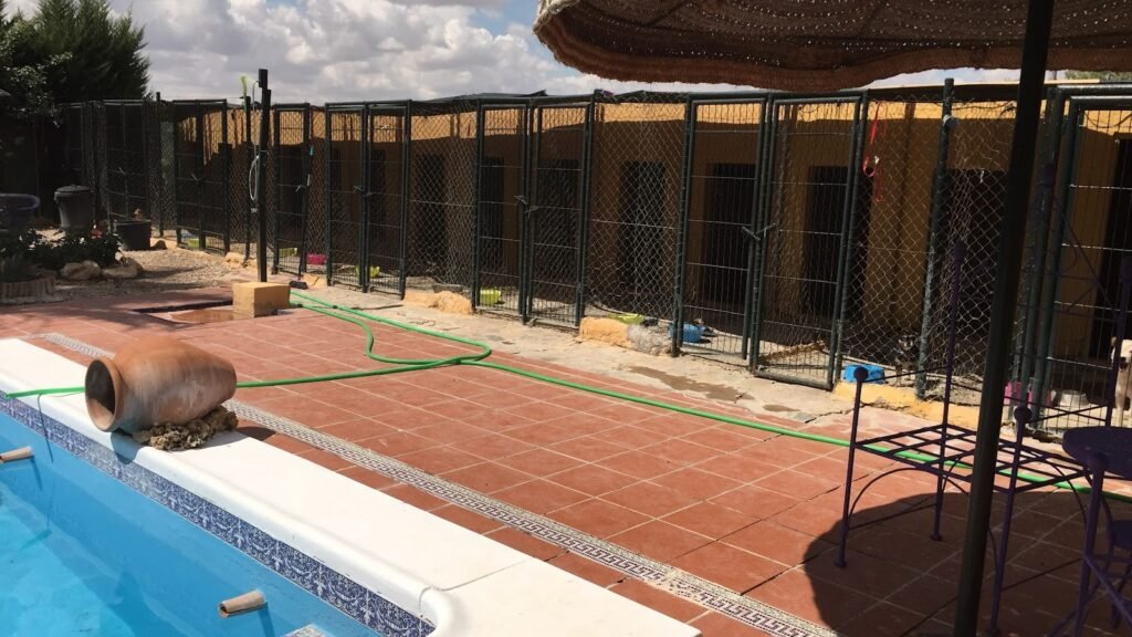 Residencia Canina Astigi – residencia canina en Sevilla