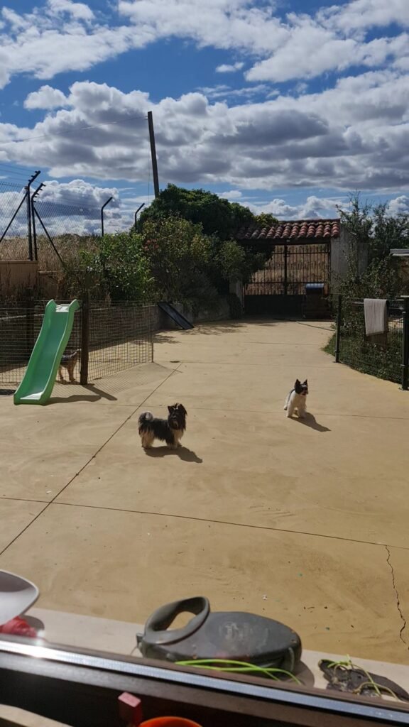 birutxines