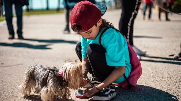 Centro Canino Buixits – residencia canina en Lleida