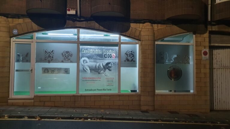 Complejo Canino C.K9 – residencia canina en León
